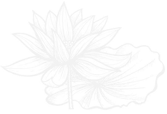Flower Illustration